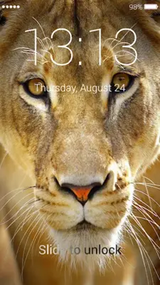 Lions Lock Screen android App screenshot 1