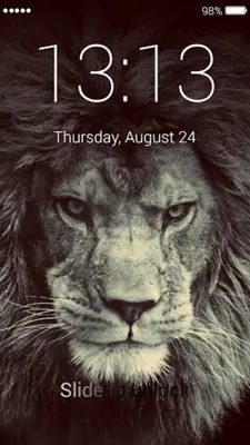 Lions Lock Screen android App screenshot 2