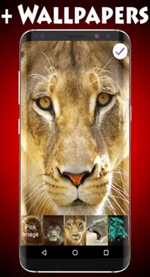 Lions Lock Screen android App screenshot 5